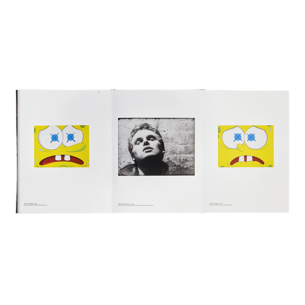 KAWS + Warhol Phaidon