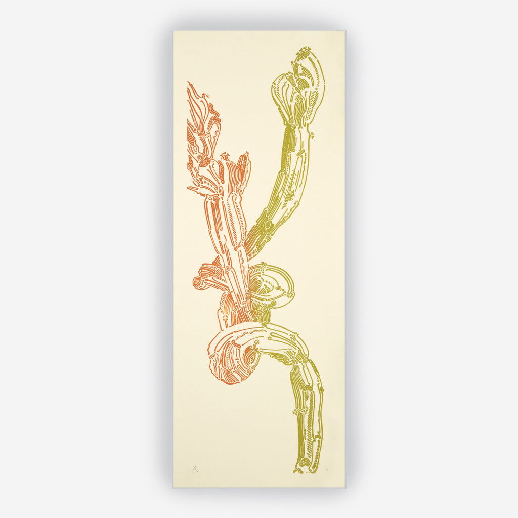 Crestata, Triptych – Edition Bethan Laura Wood