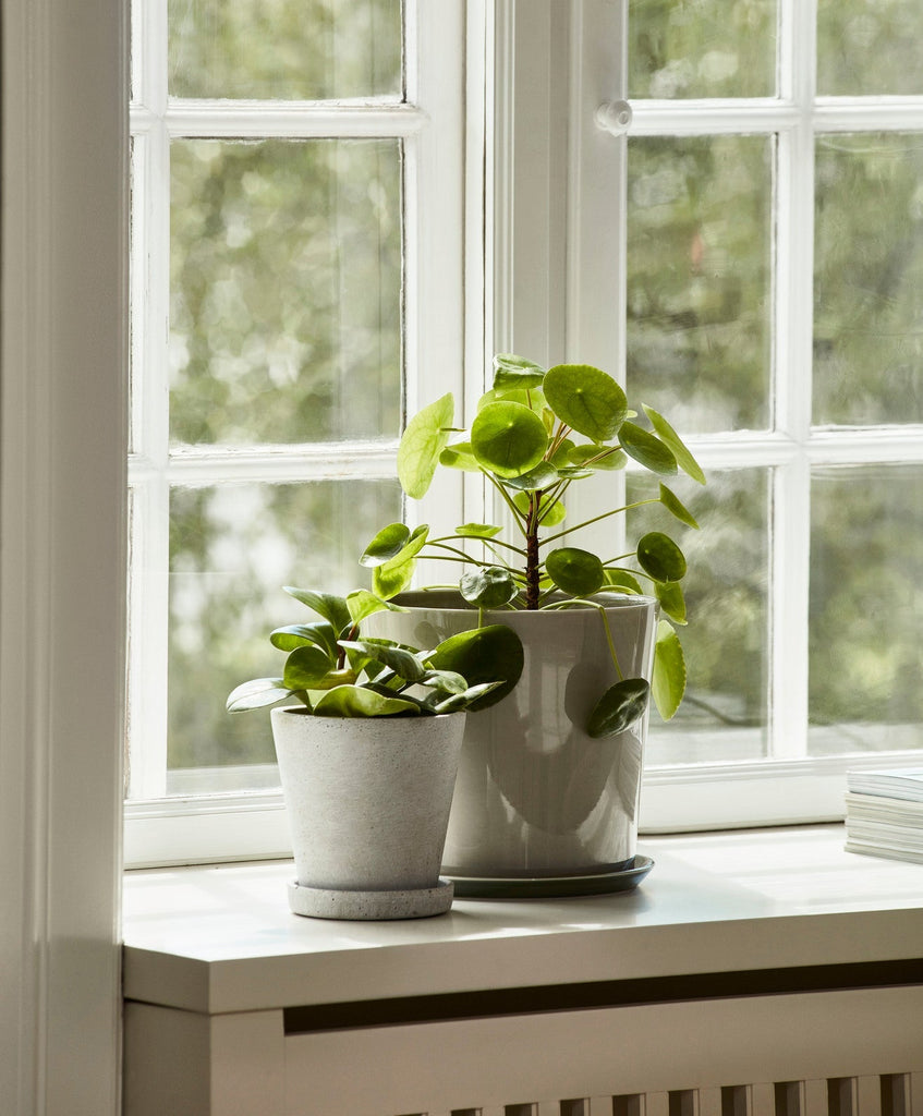 Flowerpot with Saucer HAY