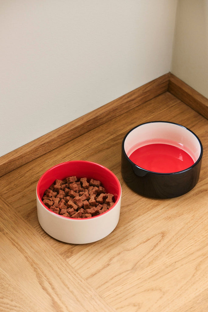 HAY Dogs Bowl HAY