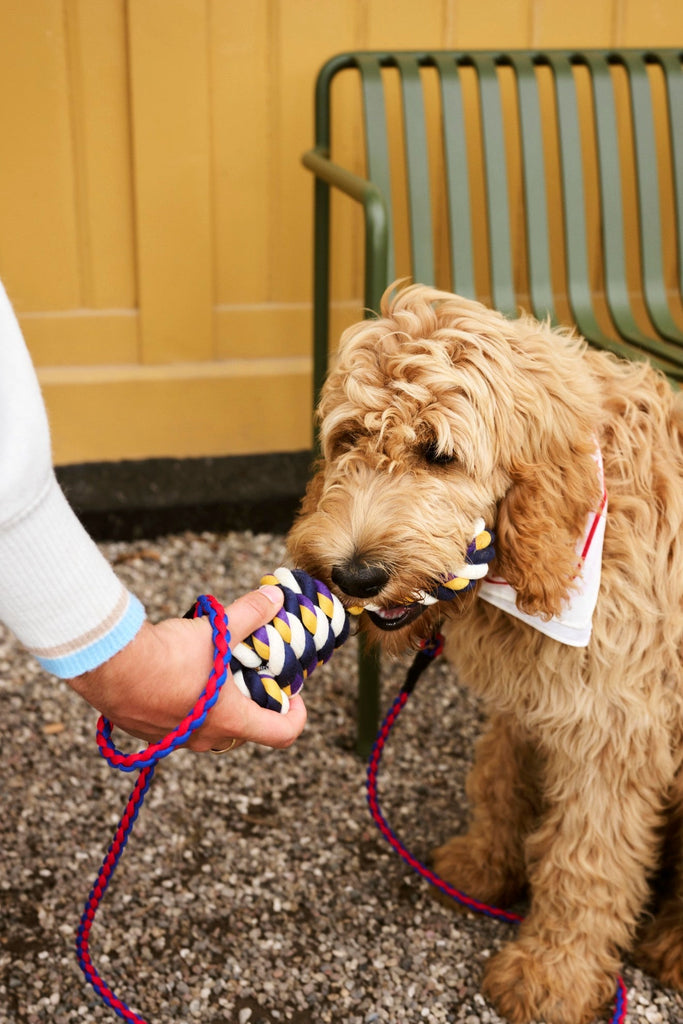 HAY Dogs Rope Toy HAY