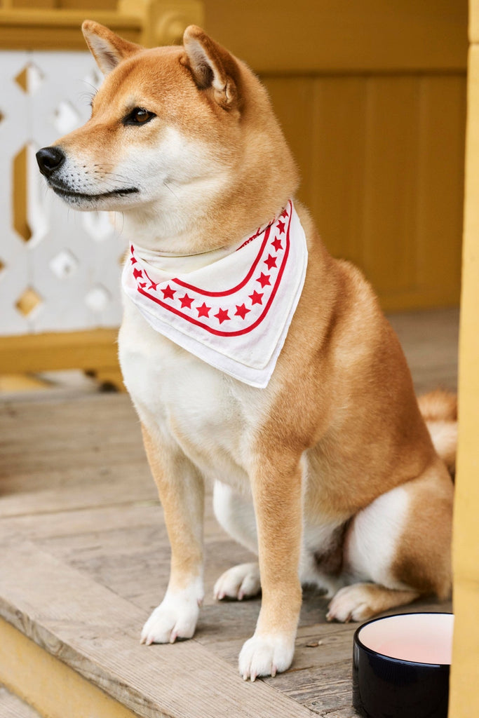 HAY Dogs Scarf HAY