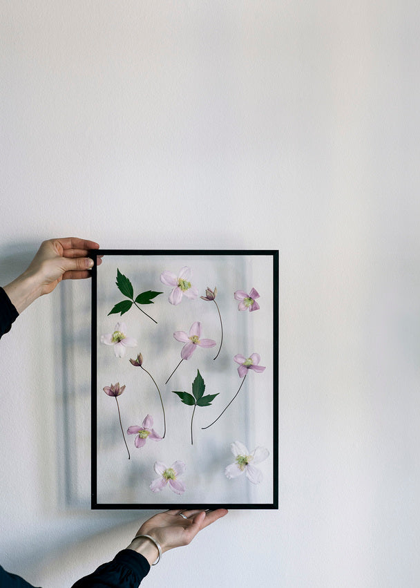 Frame - Black MOEBE