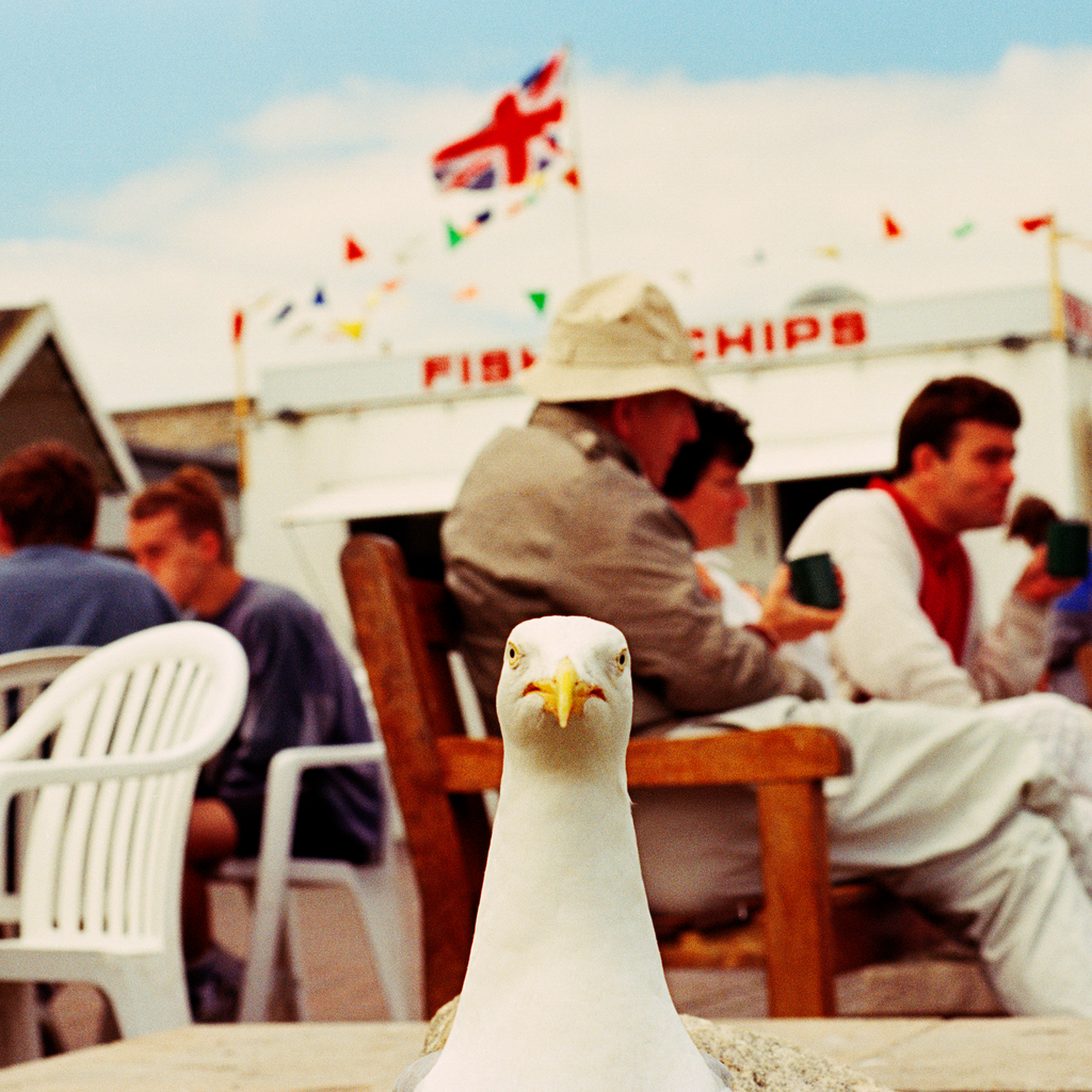 West Bay Martin Parr